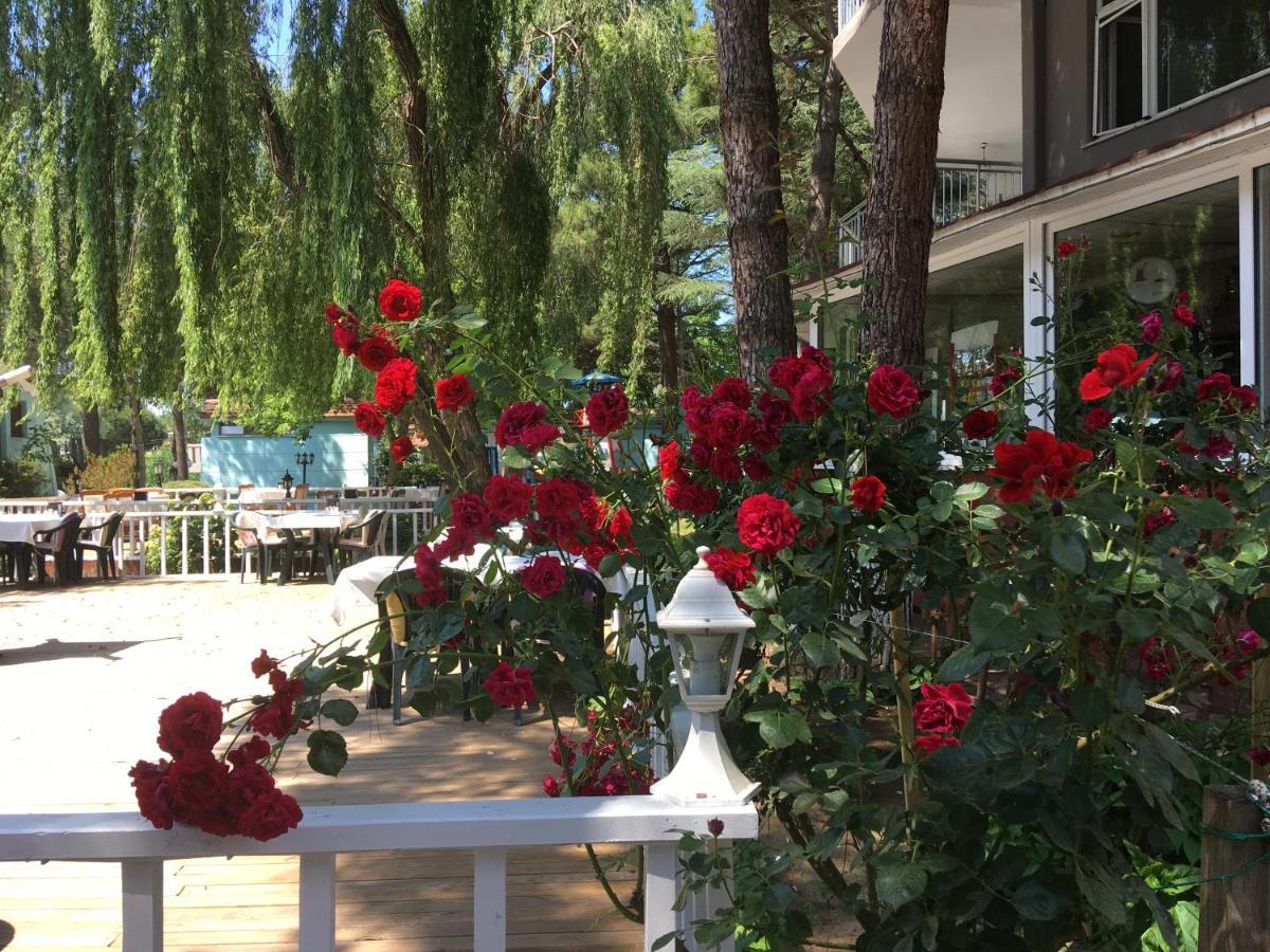 Hotel Shila Doert Mevsim Tatil Koyu Ağva Exterior foto