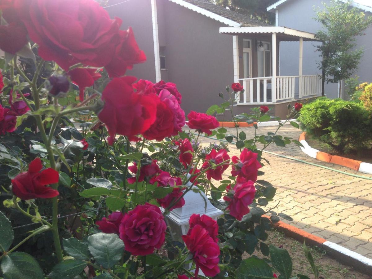 Hotel Shila Doert Mevsim Tatil Koyu Ağva Exterior foto